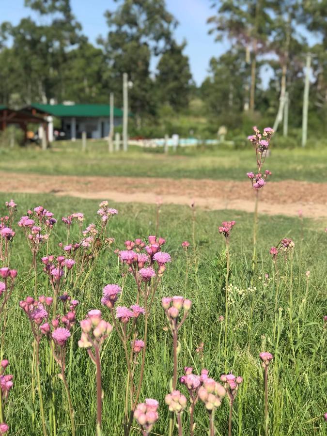 Campo Verde 콩코르디아 외부 사진